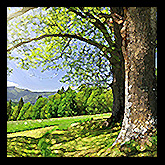 Naturalistic