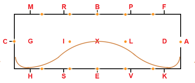 1-loop serpentine