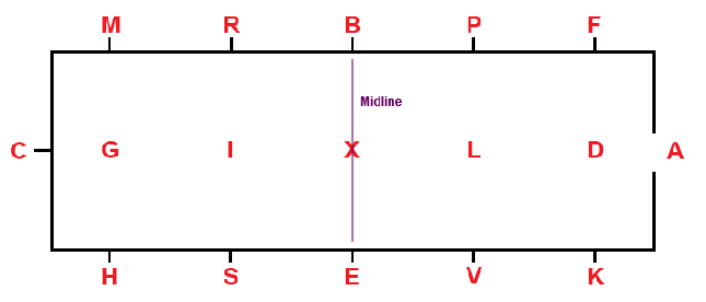 Midline