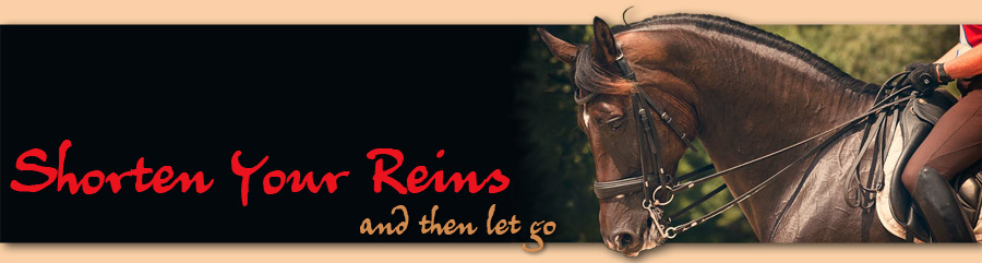 Shorten Your Reins