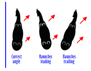 Leg yield angles
