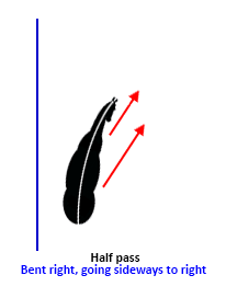 Half pass