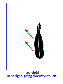 Leg yield