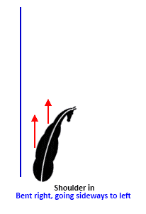 Shoulder in static