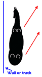 Leg yield