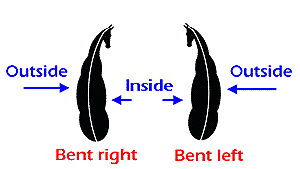 Inside and outside