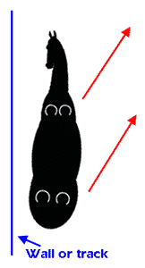 Leg yield
