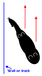 Leg yield head to wall