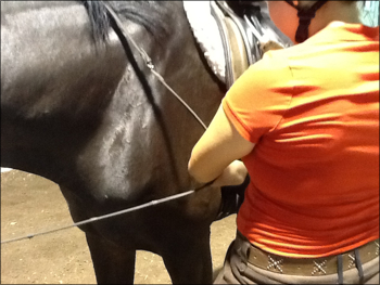 Never let go of your horse