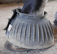 Too-large bell boot