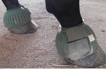 Well-fitted bell boots