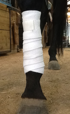 Polo bandage