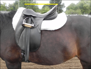 Saddle fit