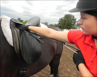 Approximating the correct
                        stirrup length